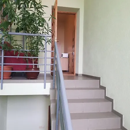 Livingpalanga Meta5 Palanga