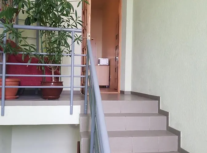 Livingpalanga Meta5 Паланга